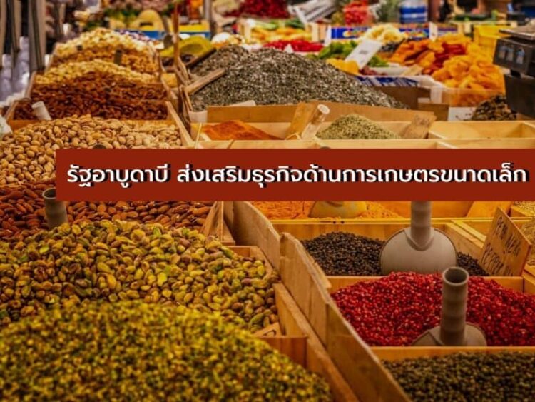 รัฐอาบูดาบีเพิ่มการส่งเสริมธุรกิจด้านการเกษตรขนาดเล็ก หวังกระตุ้นภาคการเกษตรในประเทศ