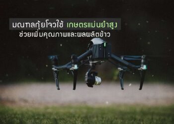 มณฑลกุ้ยโจวของจีนใช้เกษตรแม่นยำสูงช่วยเกษตรกรเพิ่มคุณภาพและผลผลิตข้าว