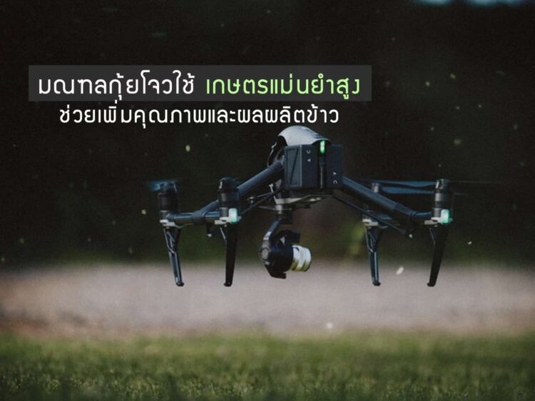 มณฑลกุ้ยโจวของจีนใช้เกษตรแม่นยำสูงช่วยเกษตรกรเพิ่มคุณภาพและผลผลิตข้าว