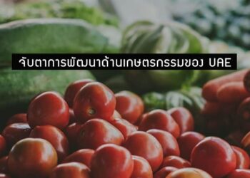 จับตาการพัฒนาด้านเกษตรกรรมของ UAE