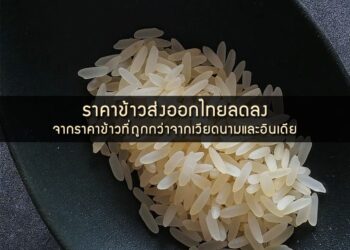 ราคาข้าวส่งออกไทยลดลง จากราคาข้าวที่ถูกกว่าจากเวียดนามและอินเดีย