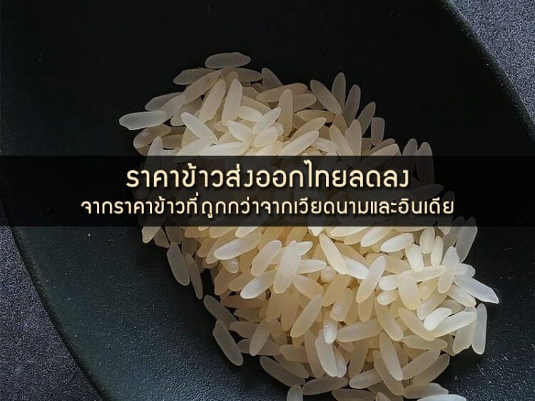 ราคาข้าวส่งออกไทยลดลง จากราคาข้าวที่ถูกกว่าจากเวียดนามและอินเดีย