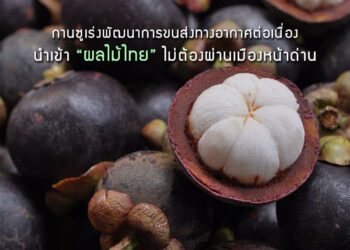 กานซูเร่งพัฒนาการขนส่งทางอากาศต่อเนื่อง นำเข้าผลไม้ไทยไม่ต้องผ่านเมืองหน้าด่าน