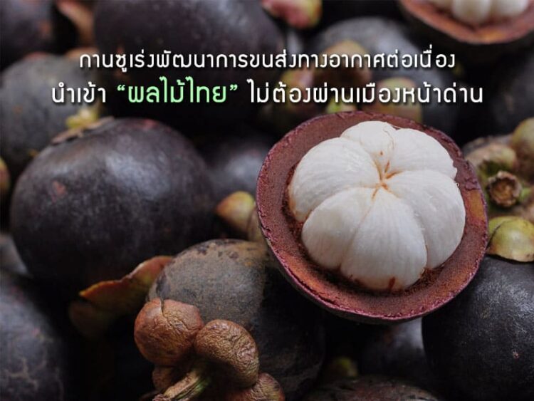 กานซูเร่งพัฒนาการขนส่งทางอากาศต่อเนื่อง นำเข้าผลไม้ไทยไม่ต้องผ่านเมืองหน้าด่าน