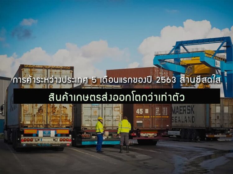 การค้าระหว่างประเทศ 5 เดือนแรกของปี 2563 ส่านซีสดใส สินค้าเกษตรส่งออกโตกว่าเท่าตัว