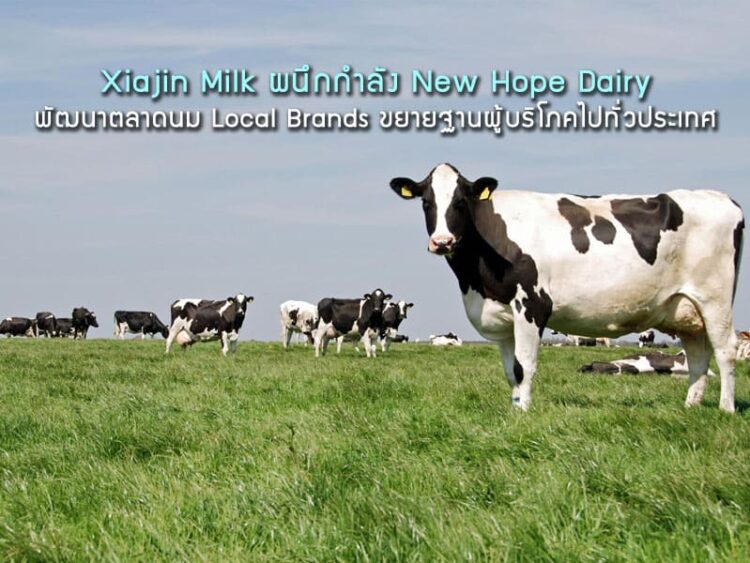 Xiajin Milk ผนึกกำลัง New Hope Dairy พัฒนาตลาดนม Local Brands ขยายฐานผู้บริโภคไปทั่วประเทศ