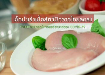 เช็กนําเข้าเนื้อสัตว์ปีกจากไทยลดลง เป็นผลจากสถานการณ์การแพร่ระบาดของ COVID-19