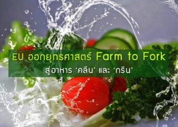 EU ออกยุทธศาสตร์ Farm to Fork: สู่อาหาร ‘คลีน’ และ ‘กรีน’