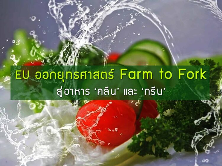 EU ออกยุทธศาสตร์ Farm to Fork: สู่อาหาร ‘คลีน’ และ ‘กรีน’