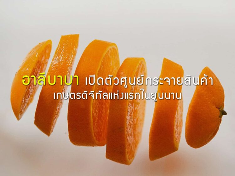 อาลีบาบาเปิดตัวศูนย์กระจายสินค้าเกษตรดิจิทัลแห่งแรกในยูนนาน