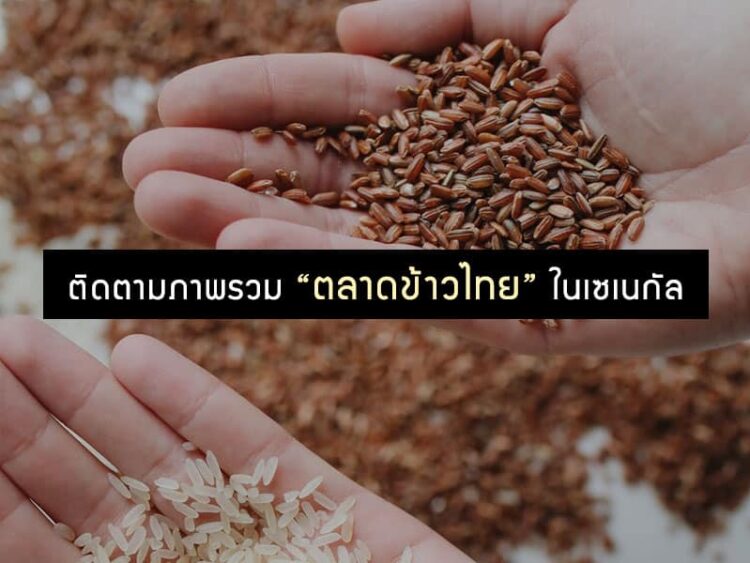 ติดตามภาพรวมตลาดข้าวไทยในเซเนกัล