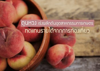 ตุนหวง เร่งผลักดันอุตสาหกรรมการเกษตร ทดแทนรายได้จากการท่องเที่ยว