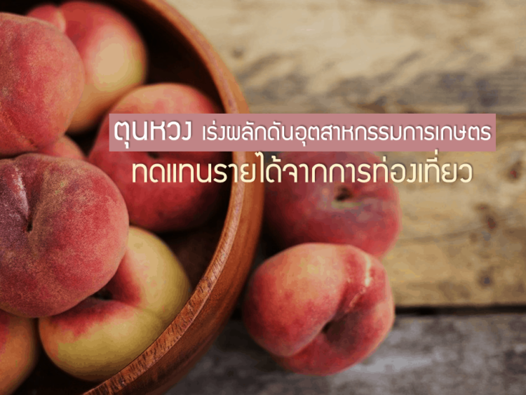 ตุนหวง เร่งผลักดันอุตสาหกรรมการเกษตร ทดแทนรายได้จากการท่องเที่ยว