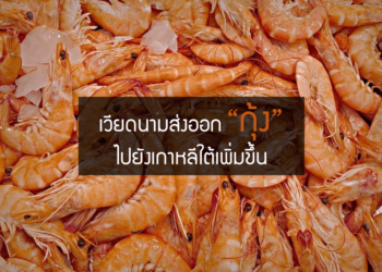 เวียดนามส่งออกกุ้งไปยังเกาหลีใต้เพิ่มสูงขึ้น