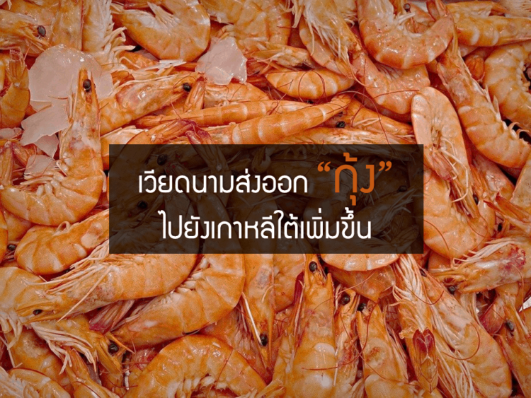 เวียดนามส่งออกกุ้งไปยังเกาหลีใต้เพิ่มสูงขึ้น