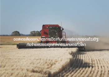 ออสเตรเลียออกมาตรการป้องกันการแพร่ระบาดของด้วงอิฐ : ภัยร้ายแรงของอุตสาหกรรมเกษตรทั่วโลก