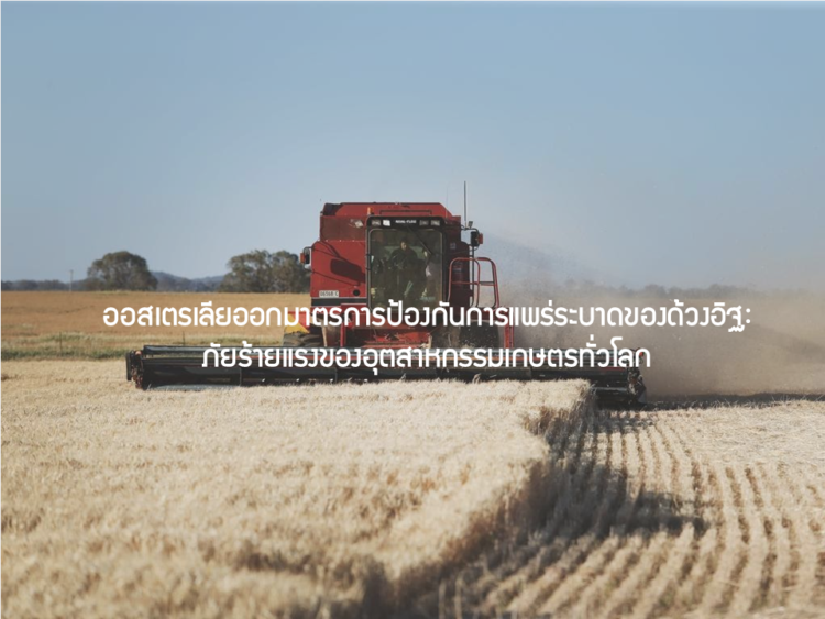 ออสเตรเลียออกมาตรการป้องกันการแพร่ระบาดของด้วงอิฐ : ภัยร้ายแรงของอุตสาหกรรมเกษตรทั่วโลก