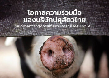 โอกาสความร่วมมือของบริษัทปศุสัตว์ไทยในมณฑลกวางตุ้งภายใต้สถานการณ์โรคระบาด ASF