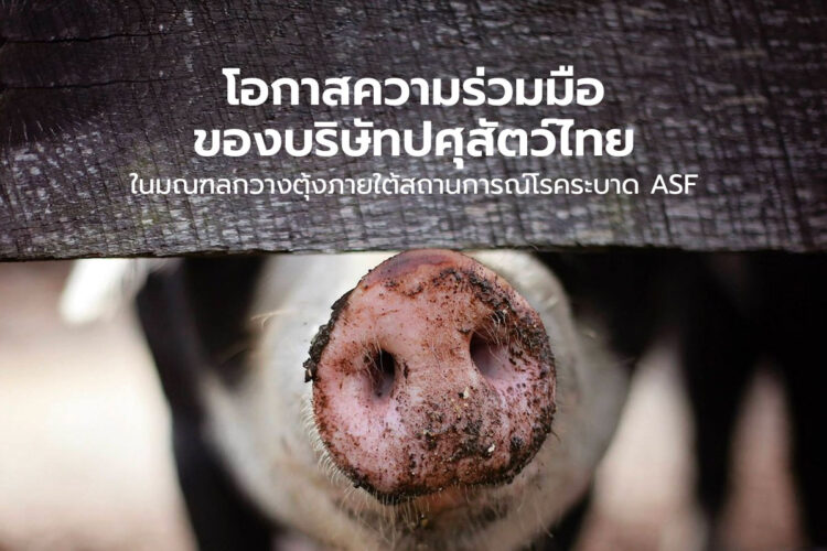 โอกาสความร่วมมือของบริษัทปศุสัตว์ไทยในมณฑลกวางตุ้งภายใต้สถานการณ์โรคระบาด ASF