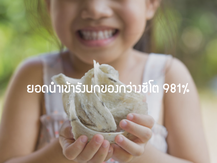 ยอดนำเข้ารังนกของกว่างซี โต 981%