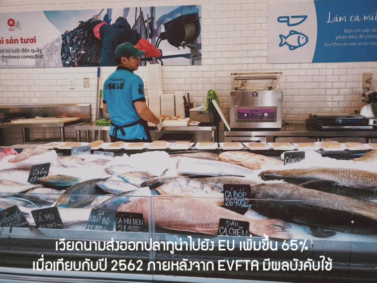เวียดนามส่งออกปลาทูน่าไปยัง EU เพิ่มขึ้น 65% เมื่อเทียบกับปี 2562 ภายหลังจาก EVFTA มีผลบังคับใช้