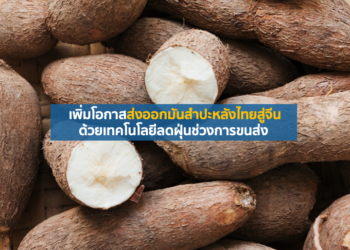 เพิ่มโอกาสส่งออกมันสำปะหลังไทยสู่จีนด้วยเทคโนโลยีลดฝุ่นช่วงการขนส่ง