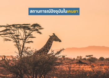 สถานการณ์ปัจจุบันในเคนยา