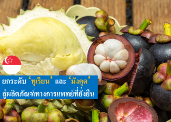 ยกระดับ ‘ทุเรียน’ เเละ ‘มังคุด’ สู่ผลิตภัณฑ์ทางการเเพทย์ที่ยั่งยืน