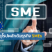 ‘SMEs’ กุญแจสู่การค้าระหว่างประเทศของสหภาพยุโรป