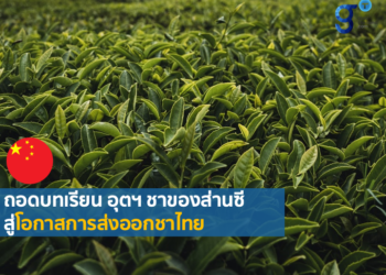 เจาะอุตสาหกรรมชาส่านซี โมเดลยกระดับคุณภาพชีวิตประชากร สู่ผลิตภัณฑ์ส่งออกทั่วโลก