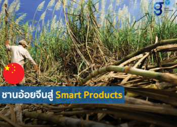 จากชานอ้อยสู่ Smart Products : นวัตกรรมสร้างถนน โอกาสที่น่าเรียนรู้ของไทย