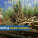 จากชานอ้อยสู่ Smart Products : นวัตกรรมสร้างถนน โอกาสที่น่าเรียนรู้ของไทย