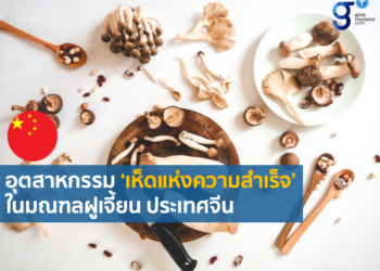 อุตสาหกรรมเห็ดในอำเภอกู่เถียน มณฑลฝูเจี้ยนเติบโตอย่างต่อเนื่อง