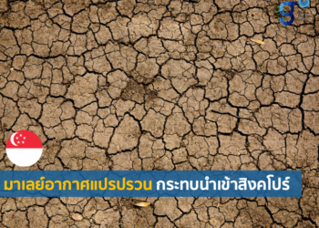 การนําเข้าอาหารของสิงคโปร์ ได้รับผลกระทบหนักจากการเปลี่ยนแปลงทางสภาพภูมิอากาศในมาเลเซีย