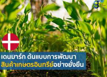 การพัฒนาและผลิตสินค้าเกษตรอินทรีย์ของเดนมาร์ก