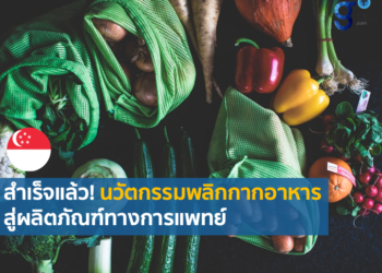 สิงคโปร์เพิ่มมูลค่ากากอาหารสู่ผลิตภัณฑ์ทางการแพทย์ คืนความยั่งยืนให้สิ่งแวดล้อม