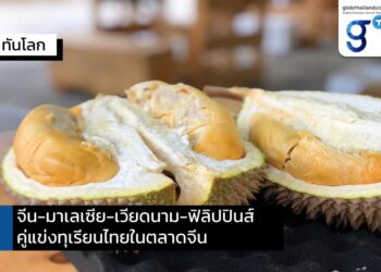 ทุเรียนจีนไหหลำ และทุเรียนชาติอาเซียน คู่แข่งใหม่ของทุเรียนไทยในตลาดจีน