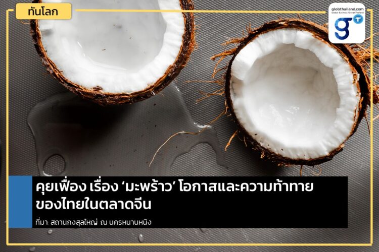 คุยเฟื่อง เรื่อง ‘มะพร้าว’ โอกาสและความท้าทายของไทยในตลาดจีน