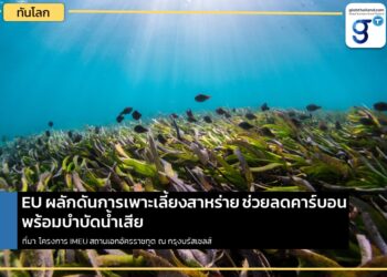 EU ผลักดันการเพาะเลี้ยงสาหร่าย ช่วยลดคาร์บอนพร้อมบำบัดน้ำเสีย