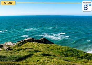 เดนมาร์ก เปิดตัว ‘สุสานคาร์บอน’ ลดโลกร้อน!