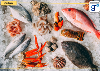 โอกาสอาหารทะเลไทยในฟินแลนด์ ! 🐟🦐🦀