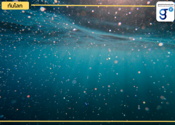 ‘Nautilus’ หุ่นยนต์ไทยสำรวจใต้น้ำชิ้นแรกของโลก! เตรียมใช้ในมาเลเซีย