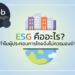 ESG คืออะไร ทำไมผู้ประกอบการไทยจึงไม่ควรมองข้าม!