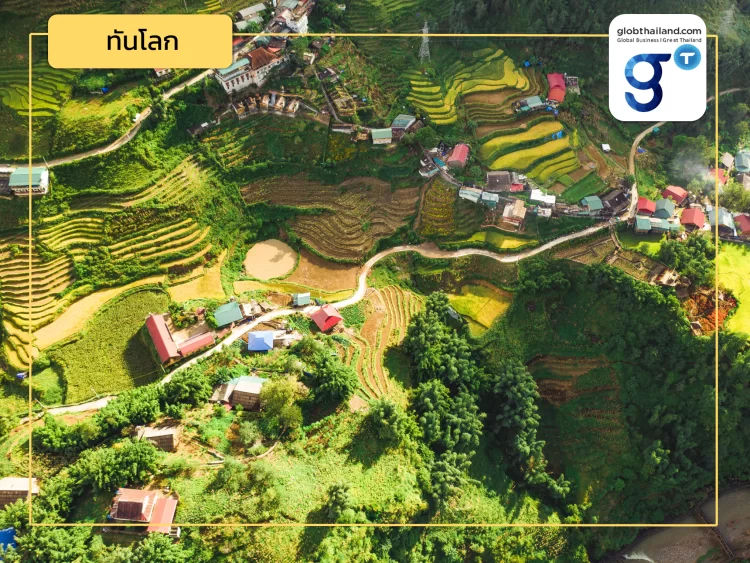 สปป. ลาว ban! ปลูกพืชเชิงพาณิชย์ที่เมืองปากซอง