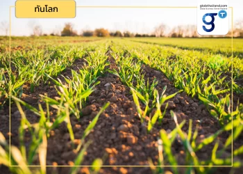 How to? เพาะปลูกอย่างไรให้ได้เครดิต