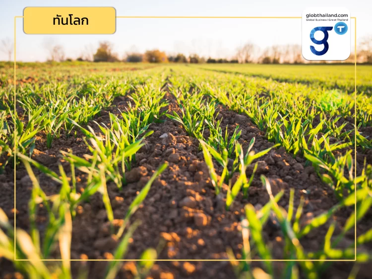 How to? เพาะปลูกอย่างไรให้ได้เครดิต