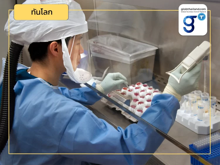 สำเร็จ! ทีมนักวิจัยซิดนีย์สามารถเพาะเนื้อเยื่อบุโพรงมดลูกในห้องปฏิบัติการเป็นครั้งแรก