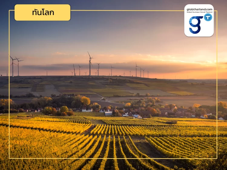 การพัฒนาเกษตรอัจฉริยะของมณฑลฝูเจี้ยน และโอกาสความร่วมมือกับไทย (ตอนที่ 2)