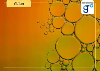 โอกาสน้ำมันปาล์มไทยส่งออกอินเดีย ! 