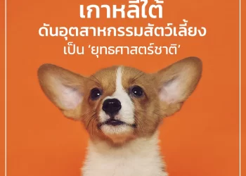 เกาหลีใต้พร้อม! ผลักดันอุตสาหกรรมที่เกี่ยวข้องกับสัตว์เลี้ยงให้เป็นอุตสาหกรรมยุทธศาสตร์ระดับชาติ 